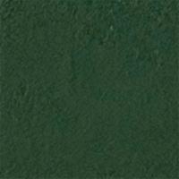 Evergreen Crinkle Evergreen Crinkle