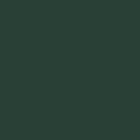 Evergreen Evergreen